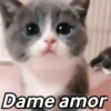 🌈🌈 Mix Gatitos Animados 😻☁️❤️🌈 7