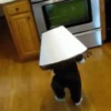 Funny Kids 8