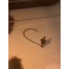 Gif for a simp 15