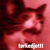 KUCINGIMOETSZ 6