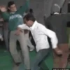 Funny Gif 23