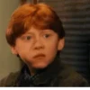 Harry Potter 14