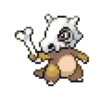 Pokémon 5