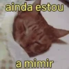 Bom dia pra quem? ☀️😑 7