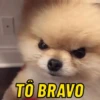 REAÇÕES & SURTOS  9