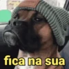é pra reagir 😂 13