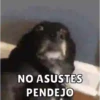 Memes pt. 4 12