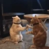 Dilo Con Animales  Vol.1 15