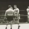 Funny Fights 8