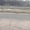 Funny Animated 12