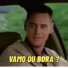 FLERTE 11