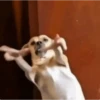 Eita  9