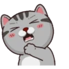 Kucing gemoy 1 5