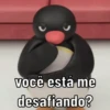 PINGU 🐧 6