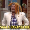 SAALA HARAMZAADE