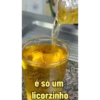 Lobinho 14