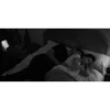 Couple 14