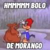 VÁRIOS SENTIMENTOS 14