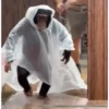 Monos y changuitos 4 🐒🦍🦧 6