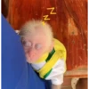 Monos 28