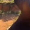 Niños lindos 🥰 11