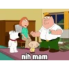Family.guy meme 9