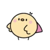Soypaui 16