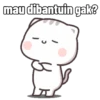 Peach Cat 14