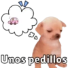 Unos Pedillos 🐶 10