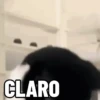 NÃO ACREDITO 11