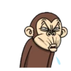 Funny Monkey 16