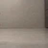 Memes cachorro | dog  15