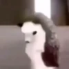 Memes que tienes que tener 18😂 5
