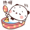 Panda cute 5