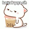 Peach Cat 8