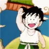 Dragon Ball 28