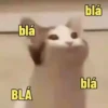 Gatinhos Memes🐈 5
