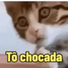 Para os fofoqueiros🤣 9