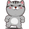 Kucing gemoy 1 7