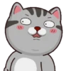 Kucing gemoy 1 8