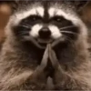 Gifs 19