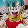 Dragon Ball 23