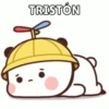 Cutie Panda🐼💓 10