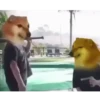 ANIMATED MEMES 10
