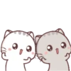 🤎🐱Gatitos🐱🤎 6