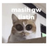 Animasi 11
