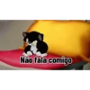 Preguiça de digitar... 13