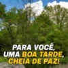 PARA VOCÊ, UMA BOA TARDE, CHEIA DE PAZ!