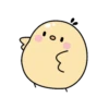 Soypaui 11
