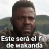 Animados Surtidos 14